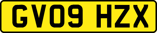 GV09HZX