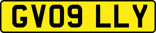 GV09LLY