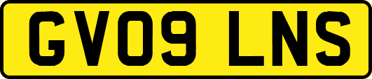 GV09LNS