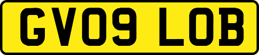 GV09LOB