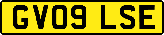 GV09LSE