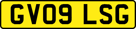 GV09LSG