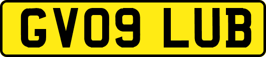 GV09LUB