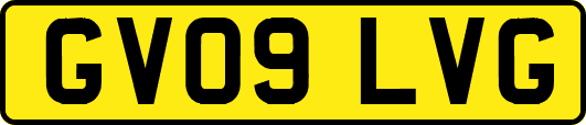 GV09LVG