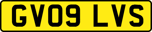 GV09LVS