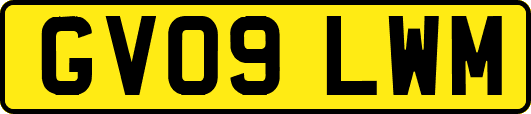GV09LWM