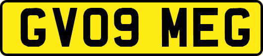 GV09MEG