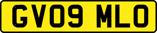 GV09MLO