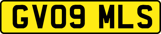 GV09MLS