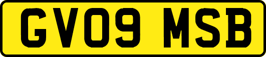 GV09MSB
