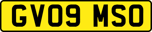 GV09MSO