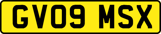 GV09MSX