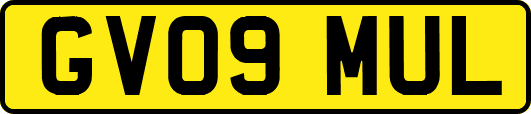 GV09MUL