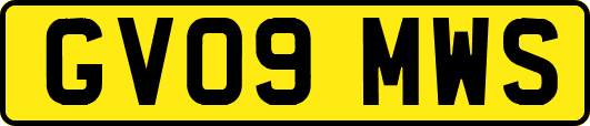 GV09MWS