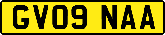 GV09NAA