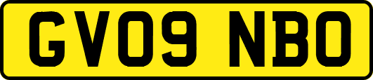 GV09NBO