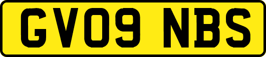 GV09NBS