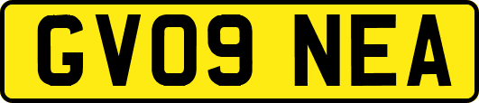 GV09NEA