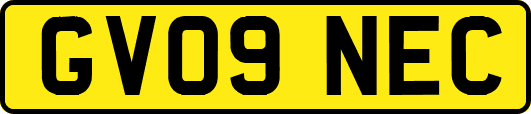 GV09NEC