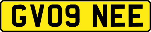 GV09NEE