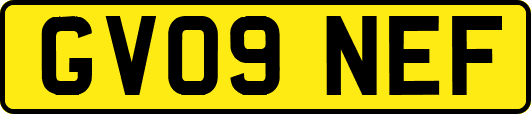 GV09NEF