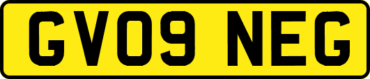 GV09NEG