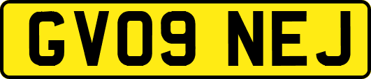 GV09NEJ