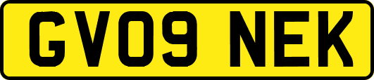 GV09NEK