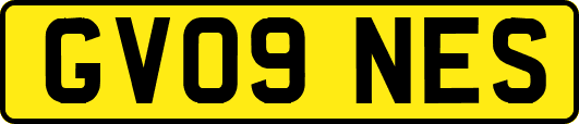 GV09NES