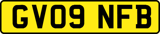 GV09NFB