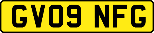 GV09NFG