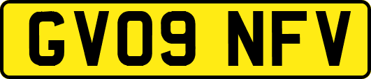 GV09NFV