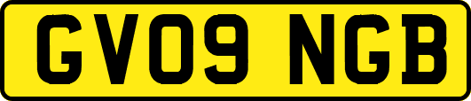 GV09NGB