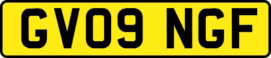 GV09NGF