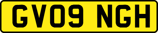 GV09NGH