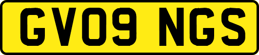 GV09NGS