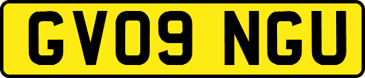 GV09NGU