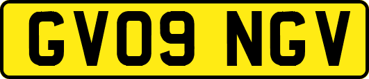 GV09NGV