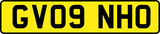 GV09NHO