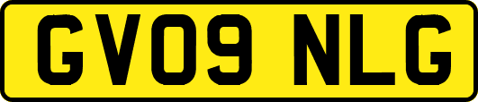 GV09NLG