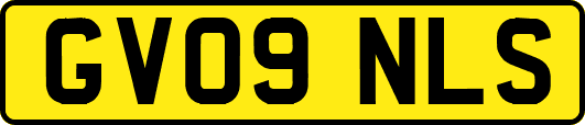 GV09NLS