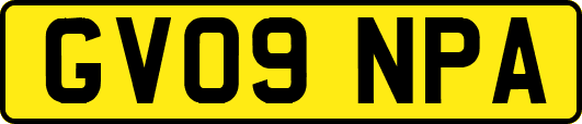 GV09NPA