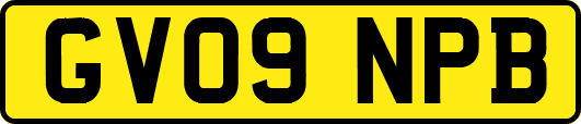GV09NPB