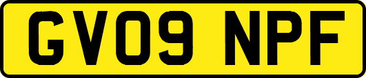 GV09NPF