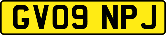 GV09NPJ