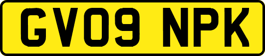 GV09NPK