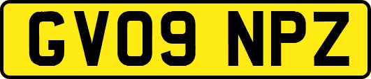 GV09NPZ