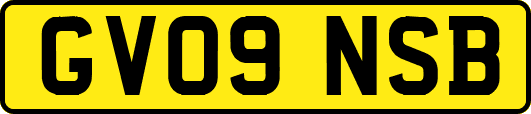 GV09NSB