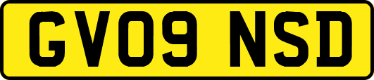 GV09NSD