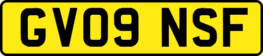 GV09NSF